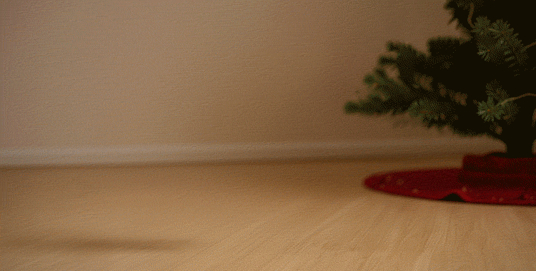 Fröhliche Weihnachten